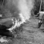 Pirogue Guyane