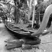 Pirogue Guyane