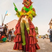 Carnaval de Guyane. Parade de Kourou 2017. Deguisement. Touloulou. Masques. Costumes. Marionnettes. Diables rouges. Noir marron. Neg marron. Balayeuses.