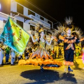 Carnaval de Guyane. Parade de Cayenne. Deguisement. Touloulou. Masques. Costumes. Marionnettes. Diables rouges. Noir marron. Neg marron. Balayseuses.