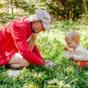 Bebe petite fille enfant en train de ramasser des myrtilles dans les cevennes. Fruits sauvages. Dans la foret. Avec une boite. Avec son grand-pere.