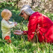 Bebe petite fille enfant en train de ramasser des myrtilles dans les cevennes. Fruits sauvages. Dans la foret. Avec une boite. Avec son grand-pere.