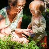 Bebe petite fille enfant en train de ramasser des myrtilles dans les cevennes. Fruits sauvages. Dans la foret. Avec une boite.  Avec sa garnd-mere.