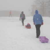 Luge dans les Cevennes (l'Esperou proche du mont Aigoual) en famille : bebe enfant petite fille parents et grand-parents.  Grand pere garnd mere. Neige.