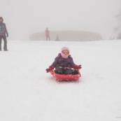 Luge dans les Cevennes (l'Esperou proche du mont Aigoual) en famille : bebe enfant petite fille parents et grand-parents.  Grand pere garnd mere. Neige.