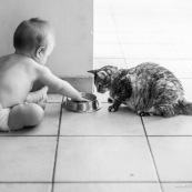 Bebe et chat. Portrait. En train de manger des croquettes. Qui est l'animal ?