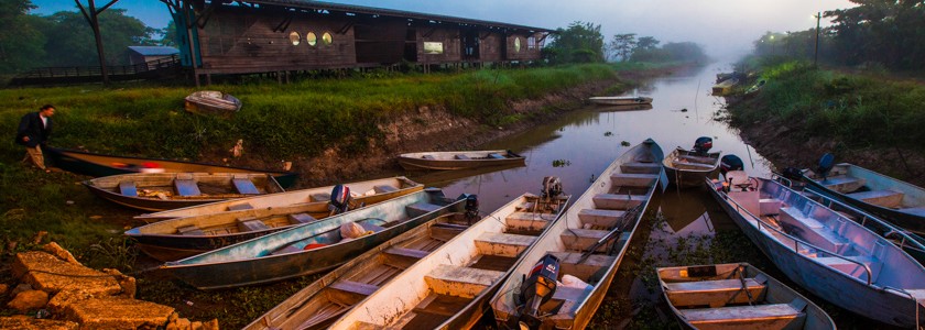 Marais de Kaw : nouvelle séance photos